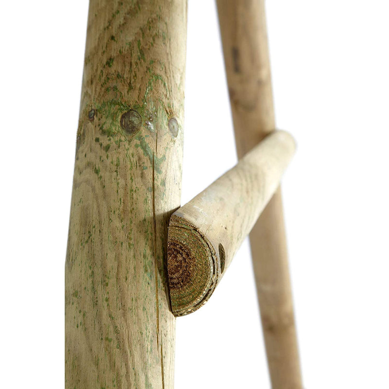 Plum Meerkat Swing Set and Climbing Frame