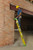CLOSEOUT - Supplies are limited | Louisville Cross Pinnacle Platform and Leaning Fiberglass Stepladder / Type IAA 375 Duty Rating