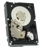 49Y6173 - IBM 300GB 10000RPM SAS 6GB/s 2.5-inch Hot Swapable Hard Drive with Tray