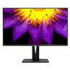 ASUS PA329Q 32" 4K Ultra HD LCD/TFT Black computer monitor