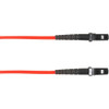 Black Box FOCMR62-010M-MTMT-RD