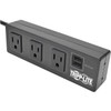 Tripp Lite TLP310USBS