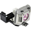 Arclyte PL03145