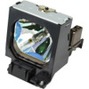 Arclyte PL02459