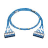 Panduit QCPBCBCBXX50