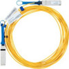Mellanox MFS1200-C005