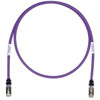 Panduit STP6X6VL-Q