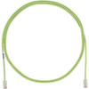 Panduit UTP28CH50MPG