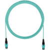 Panduit FZTRP7N7NXNM030