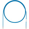 Panduit UTP28X60RD