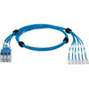 Panduit QPPSDBDB03