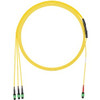 Panduit F9URLENG4ANM019