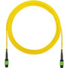 Panduit F9TRP5N5NANF086