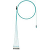 Panduit FX8RP7NUSQNF056