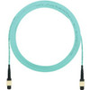 Panduit FXTRP5N5NANF021
