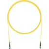 Panduit F98RLGNGNANM006