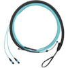 Panduit FXTRL7NQSONM007