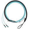 Panduit FXTRP7NQSONF013