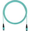 Panduit FXTRP7N7NANM002