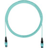Panduit FZTRP7N7NANF006