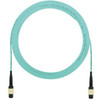 Panduit FZTRP5N5NANF007