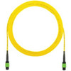 Panduit F9TRP5N5NANF004