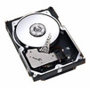 ST3250623NS - Seagate NL35 250 GB 3.5 Internal Hard Drive - SATA/150 - 7200 rpm - 16 MB Buffer