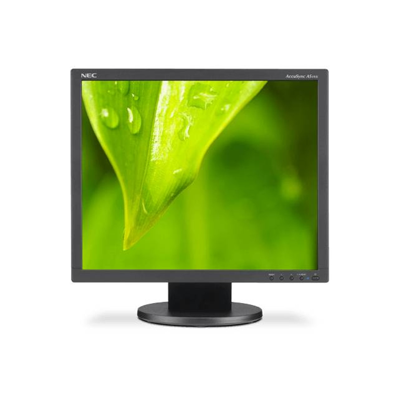 NEC AccuSync AS193I-BK 19 inch 1,000:1 14ms VGA/DVI WLED LCD Monitor (Black)