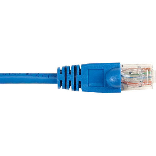 Black Box CAT6PC-025-BL-10PAK