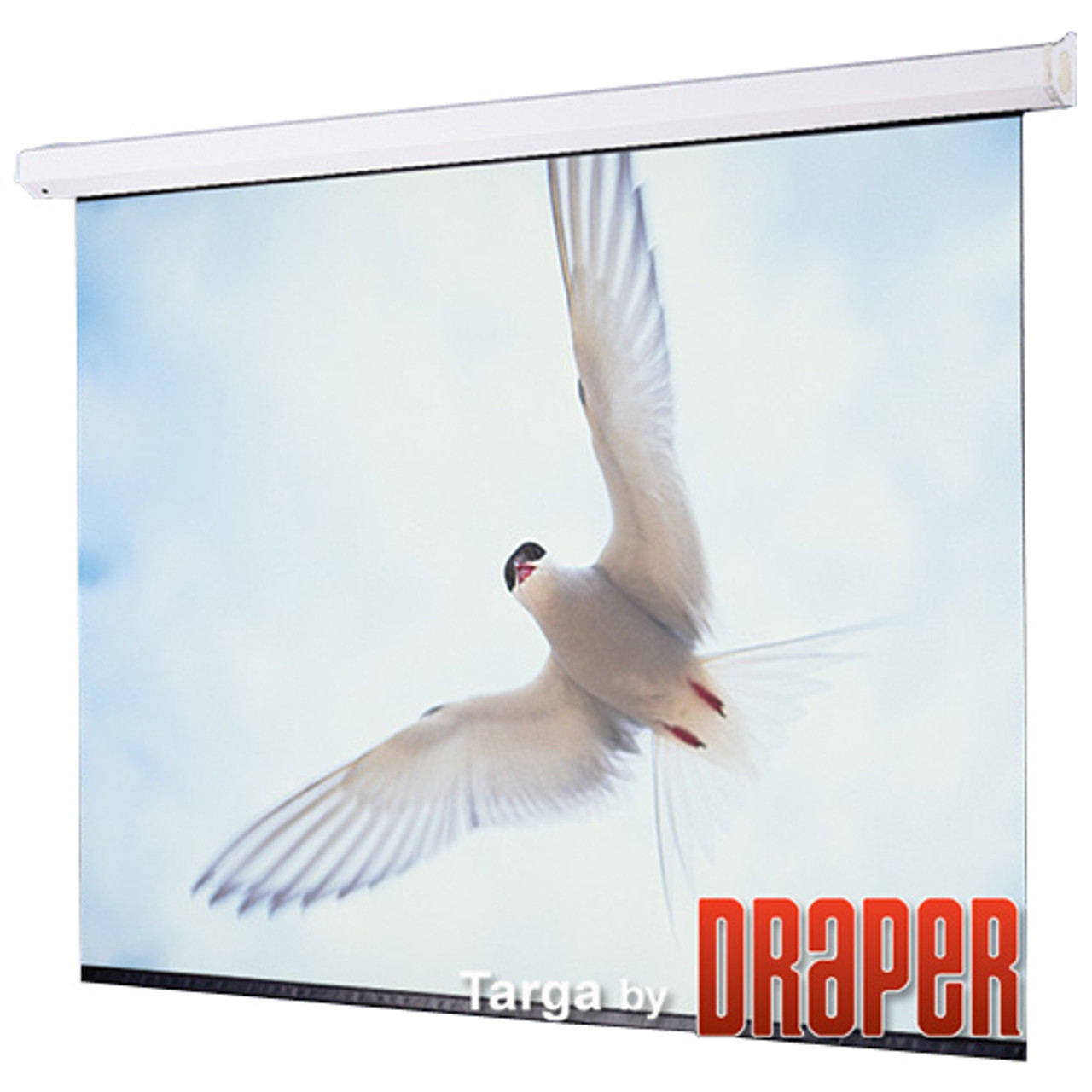 Draper 116366L