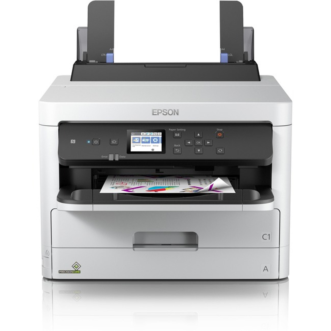 Epson C11CG06201