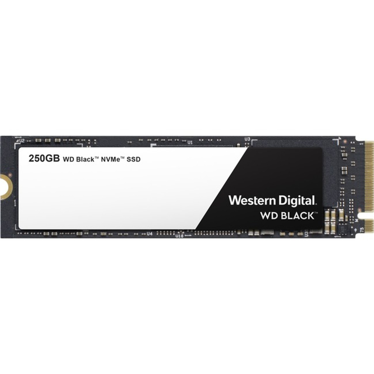 Western Digital WDS250G2X0C