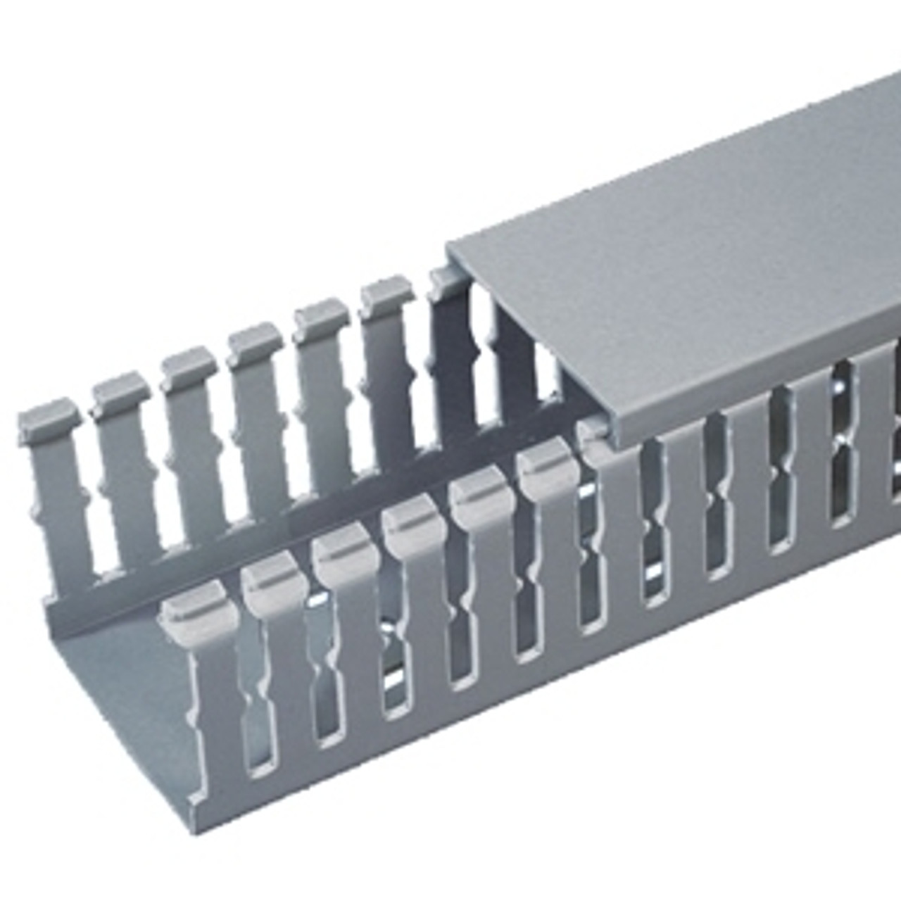 Panduit F2X4LG6-A