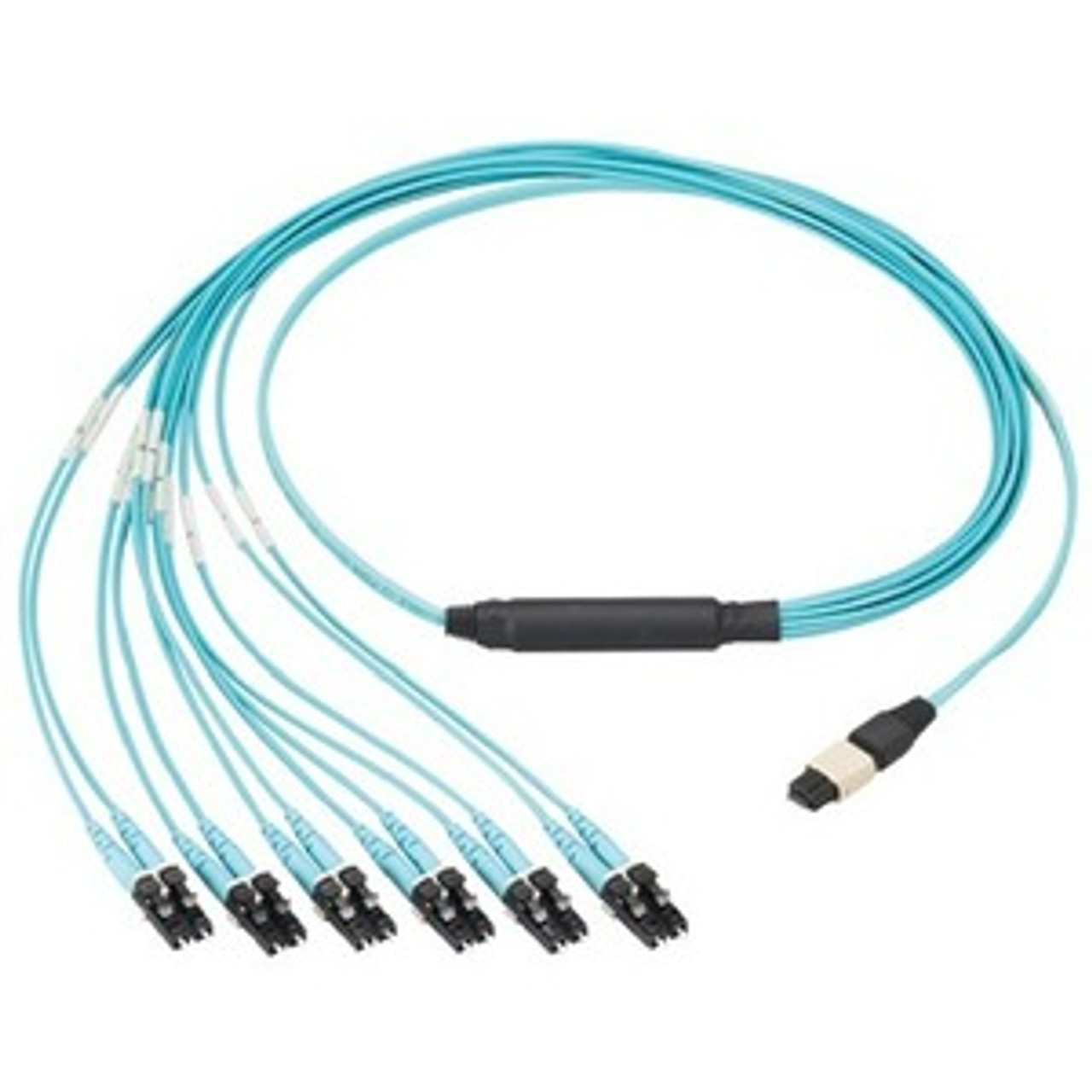 Panduit FXTHP5NLDSNM017