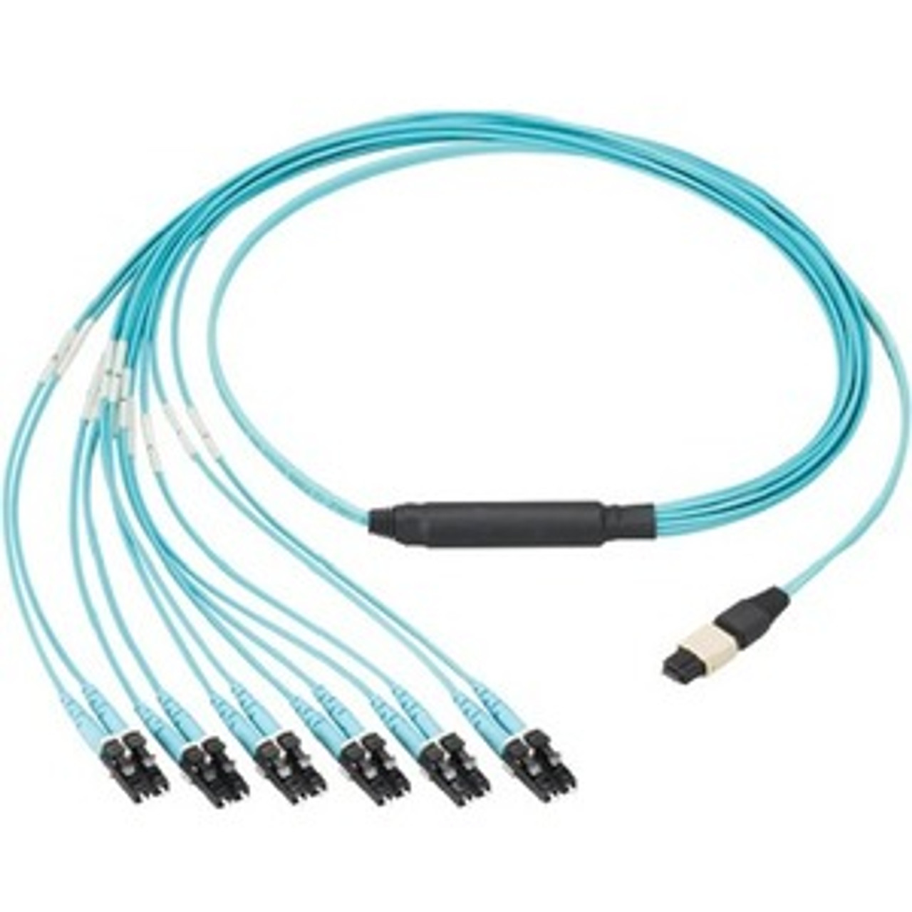 Panduit FXTHL6NLSSNM016