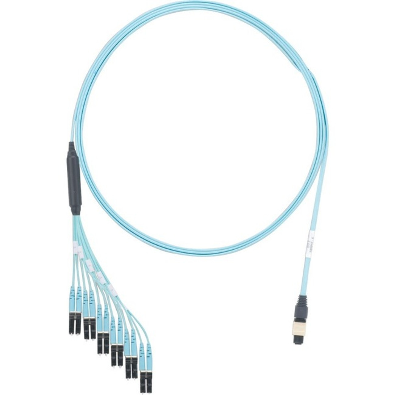 Panduit FZTHP6NLSSNF009