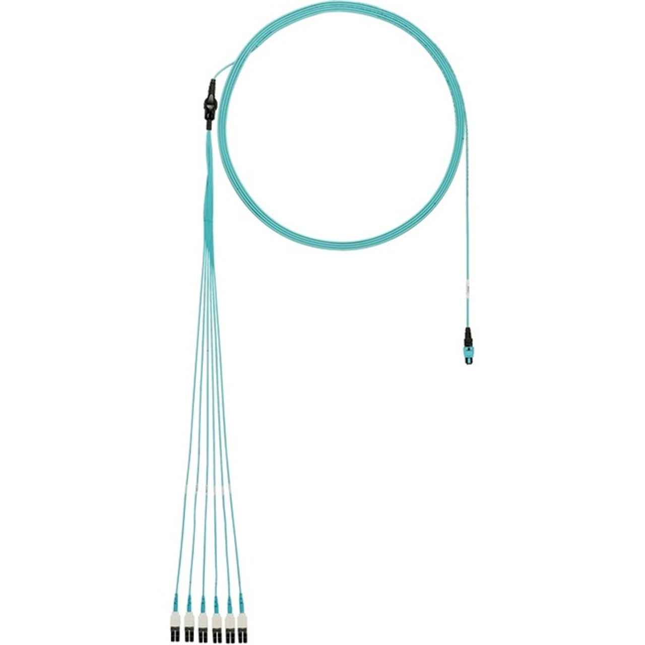 Panduit FZ8RP7NUSQNM002