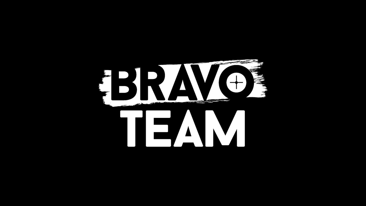 Sony Bravo Team Basic PlayStation 4 video game