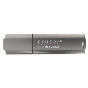SDCZ21-002G-A75 - SanDisk 2GB Cruzer Professional USB Flash Drive - 2 GB - USB