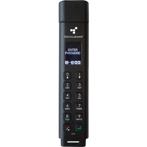 DataLocker SK300-016