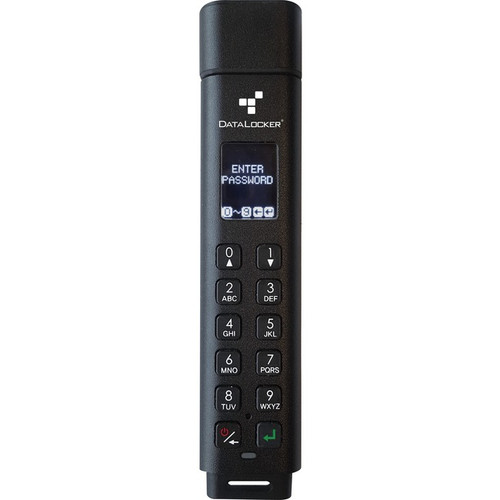 DataLocker SK300-128