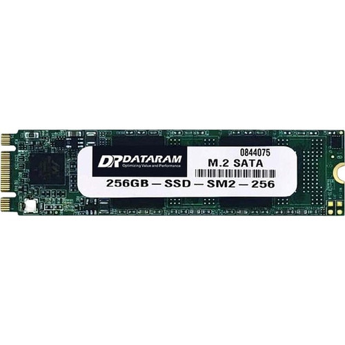 Dataram SSDM2-SATA-256GB