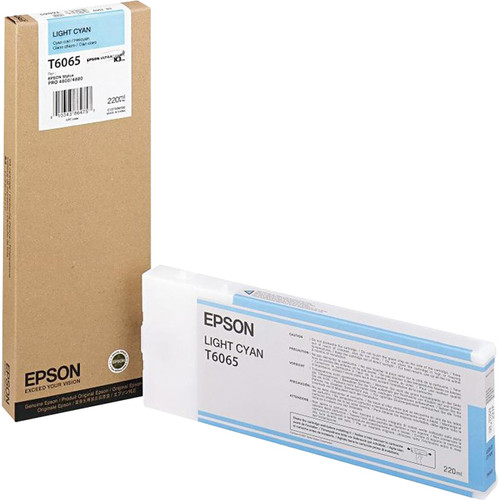 Epson T606500