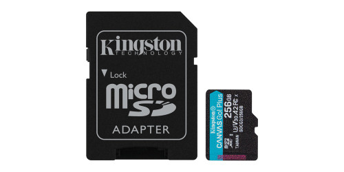 Kingston SDCG3/256GB