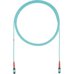 Panduit FZURLENENYNM025