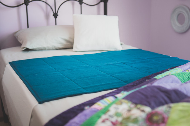 The Sandfly Sheet Protector/Sofiona Designs