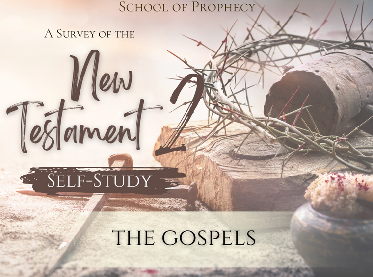 A Survey of The New Testament 2 (Self Study)