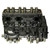 GM 4.3 V6 12v LU3 GAS Long Block