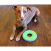 Chuckit! Zipflight Max Glow Dog Toy | Unitedpetworld.Com