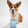 Petz Park Urinary Kidney Powder For Dogs Roast Beef Flavour